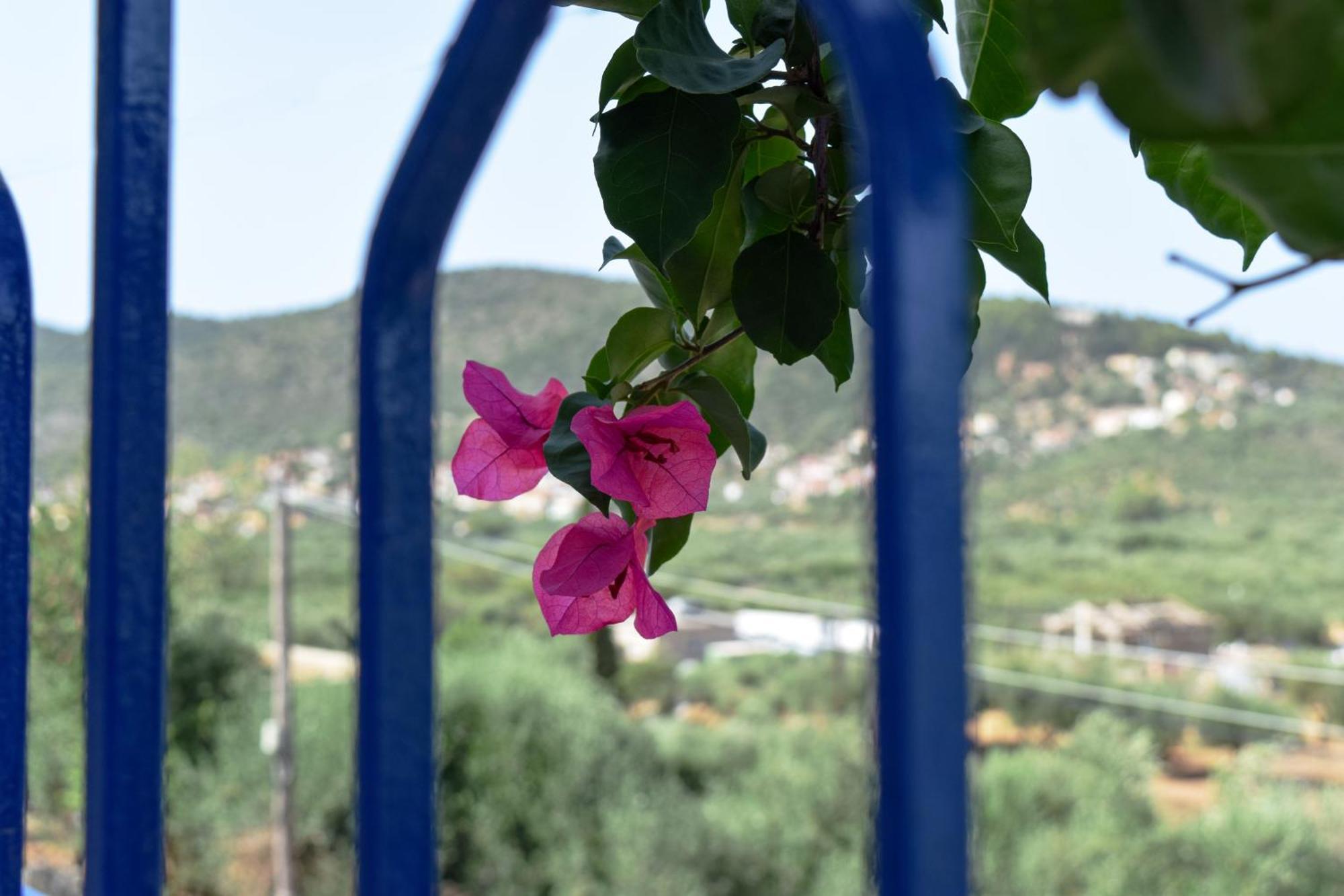 Val Di Compare Apartments Vathy  Exterior foto